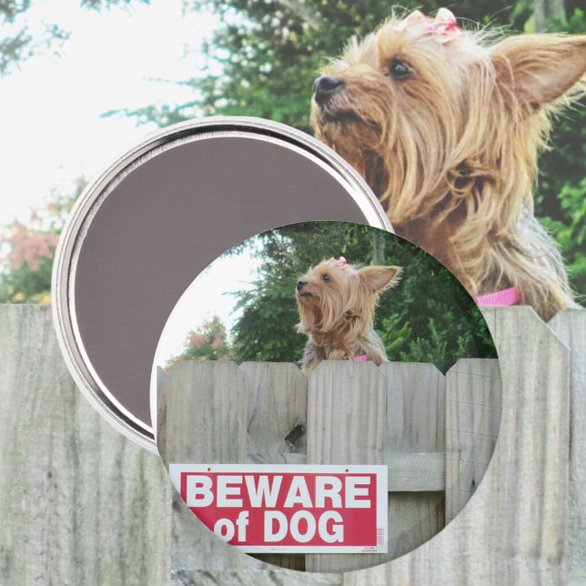 Beware of Cute Yorkie Magnet (Creator Uploaded)