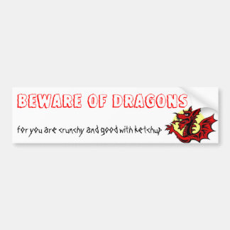 BEWARE OF DRAGONS BUMPER STICKER