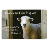 Beware Of False Prophets