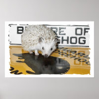 Beware of Hedgehog