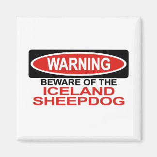 Beware Of Iceland Sheepdog Magnet