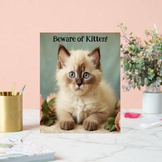 Beware Of Kitten Cute Ragdoll Kitty Guardian Pic  Acrylic Sign