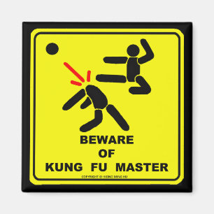 BEWARE OF KUNG FU MASTER MAGNET