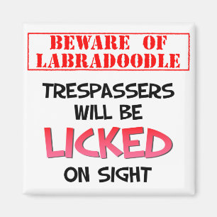 Beware of Licking Labradoodle (White) Magnet