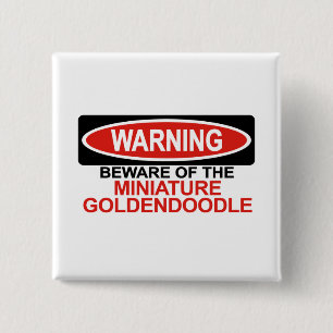 Beware Of Miniature Goldendoodle 2 Inch Square Button