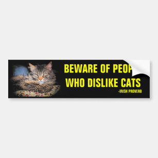 Beware of People Who Dislike Cats Irish Proverb Bumper Sticker