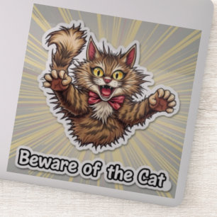 Beware of the Cat