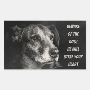 Beware of the dog, custom pet photo sticker