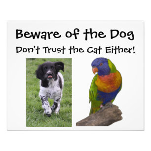 Beware of the dog. Don't trust the cat either! Photo Print