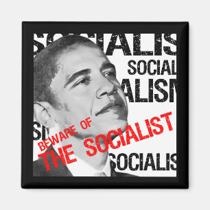 Beware of the Socialist Magnet