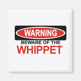 Beware Of Whippet Magnet