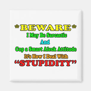 Beware Sarcastic Magnet