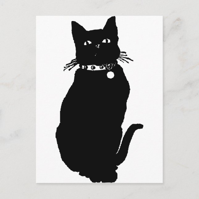 Beware the Black Cat Postcard (Front)