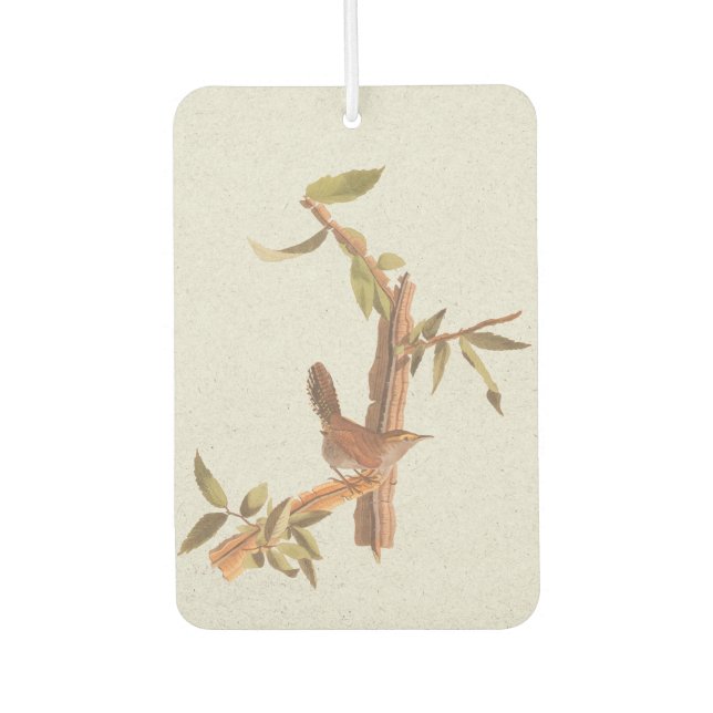Bewick's Long-Tailed Wren Audubon Solitary Bird Air Freshener (Front)