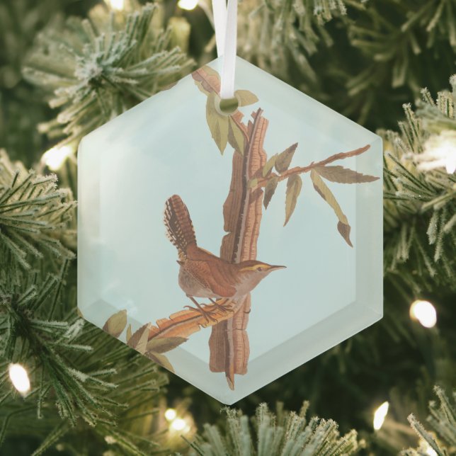 Bewick's Long-Tailed Wren Audubon Solitary Bird Glass Ornament (Insitu)