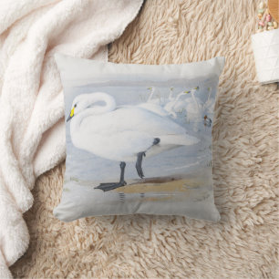  Bewick's swan, Birds illustration Throw Pillow
