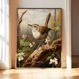 Bewick's Wren Art Print Poster, Vintage Bird Wall 