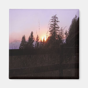 Beyond the fence... magnet