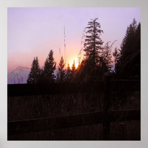 Beyond the fence... poster