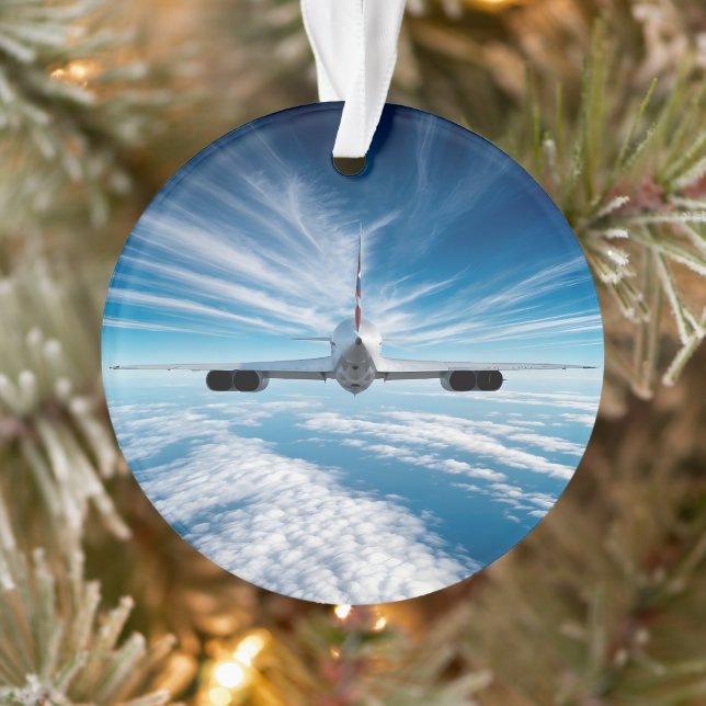 Beyond the Horizon: Concorde from Behind Ornament (Tree)