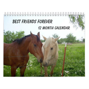 BFF-Best Friends Forever - 12 Month Calendar