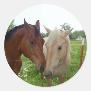 BFF Best Friends Forever - Horses Classic Round Sticker