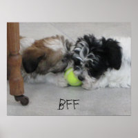 BFF Best Friends Puppy Poster