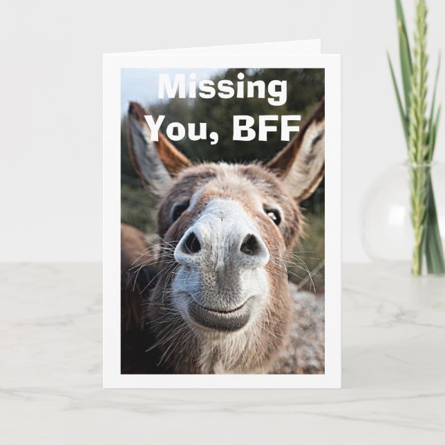 *BFF** POOR DONKEY MISSES VERY HAPPY ABOUT THAT CARD (Front)
