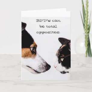 BFFs Total Opposites Cat & Dog Greeting Card
