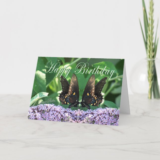 BflyKissesHBDcard Card (Front)