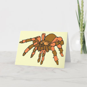 BG- Spider Greeting and Note Cards