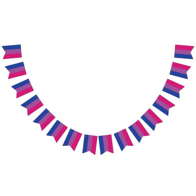 Bi Bunting Flag (All)