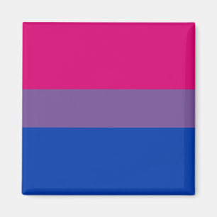 Bi Pride Flag Magnets