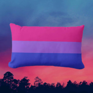 Bi Pride Lumbar Comfort Pillow