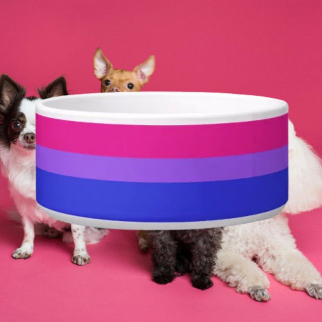 Bi Pride Pet Bowl (Creator Uploaded)