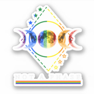 Bi Pride Shirt Not A Phase LGBT Bisexual Pride Moo