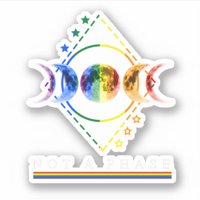 Bi Pride Shirt Not A Phase LGBT Bisexual Pride Moo (Front)