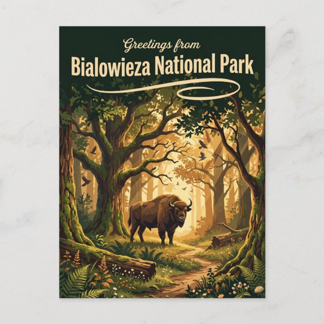 Bialowieza National Park Poland Postcard (Front)