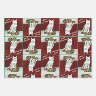 Bianca's Maine Coon Christmas - Papier d'enveloppe
