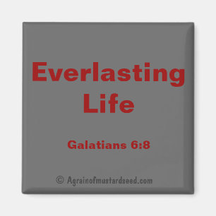 Bible Quotes Magnet