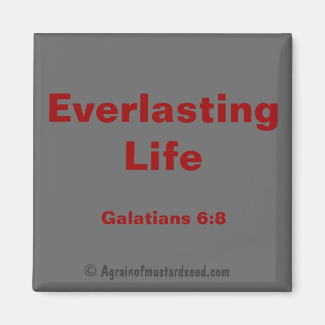 Bible Quotes Magnet (Front)