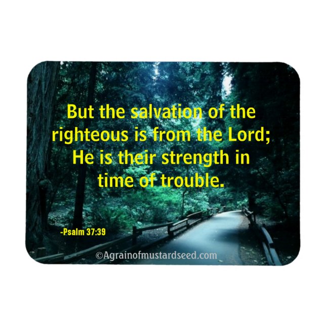 Bible Quotes Prayer Magnet (Horizontal)