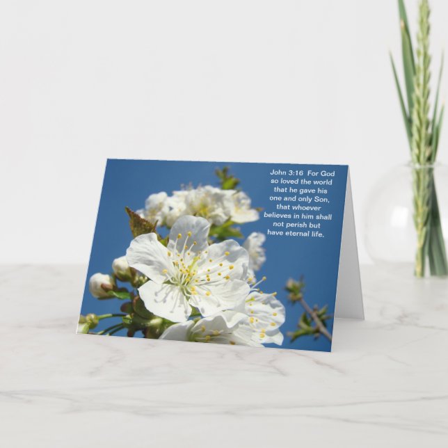Bible Scripture Saviour Blossoms John 3:16 Holiday Card (Front)