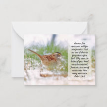 Bible Verse Écriture Note de carte Sparrow Religio