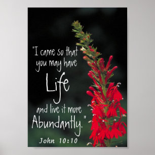 bible verse encouragement John 10:10 Poster
