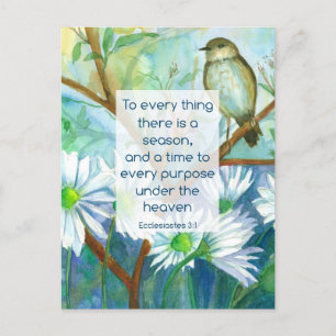 Bible Verse Everything There Is A Season Ecc 3:1 Postcard