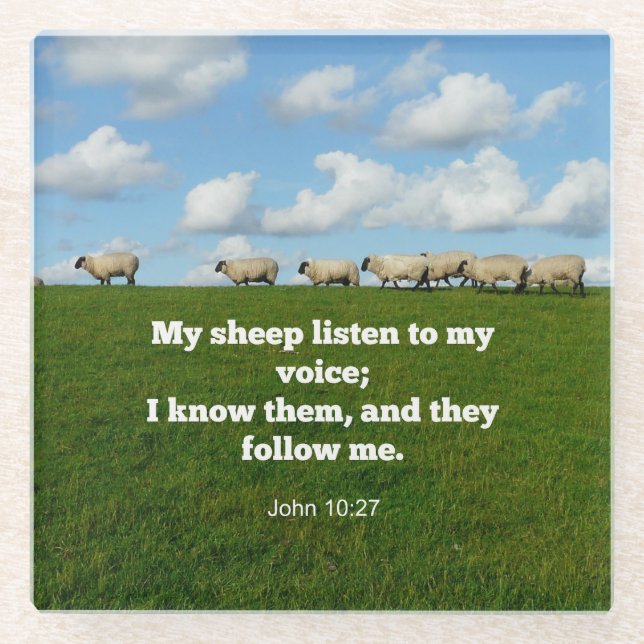 Bible verse, John 10:27, My sheep... Glass Coaster (Front)