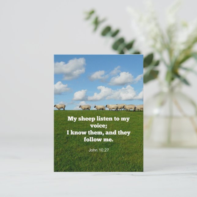 Bible verse, John 10:27, Postcard (Standing Front)