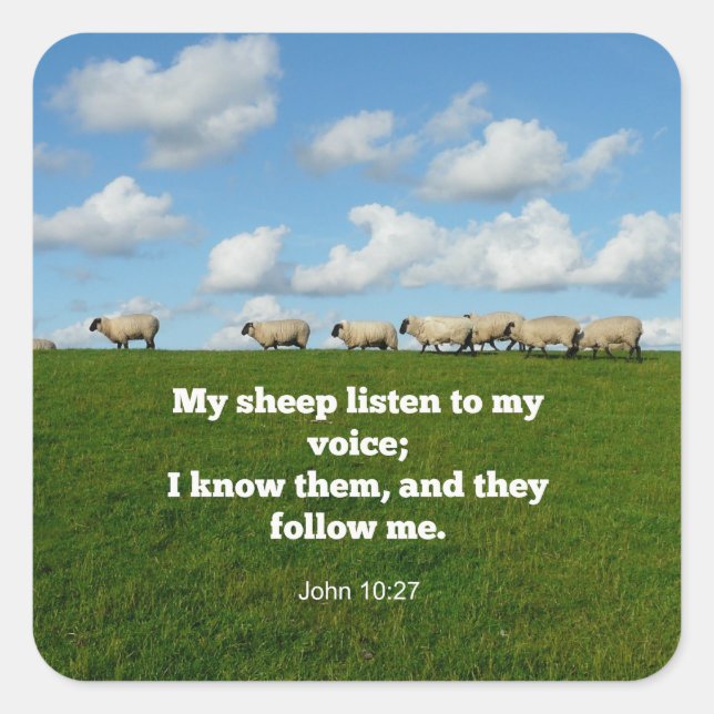 Bible verse, John 10:27 Square Sticker (Front)