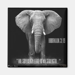 Bible Verse Magnet - Habbukuk